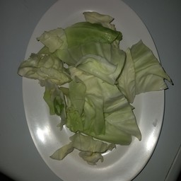 กะหล่ำปลี