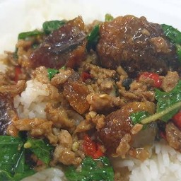 ข้าวกระเพราไข่เยี่ยวม้า