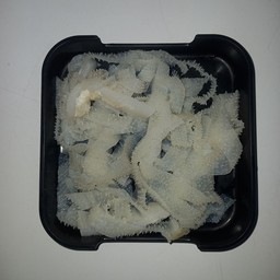 ผ้าขี้ริ้ว