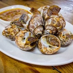 หอยหวาน M