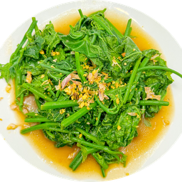 ยอดแม้วผัดน้ำมันหอย