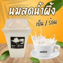 นมสดน้ำผึ้ง ( เย็น )