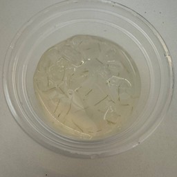 ว่านหางจระเข้