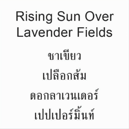 Rising Sun over Lavender Field