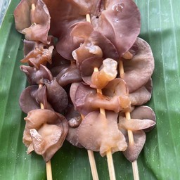 เห็ดหูหนู
