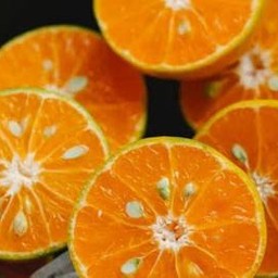 น้ำส้มคั้นสด