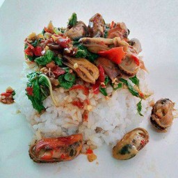 ข้าว ผัดกะเพราหอยแมลงภู่
