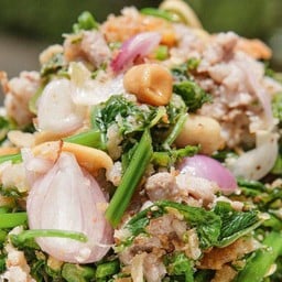 ยำผักกูดกุ้งสด