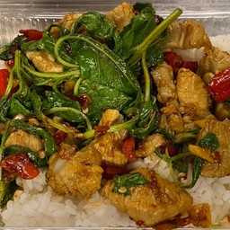 กะเพรากระดูกอ่อน