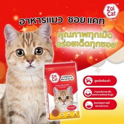 Zoi Cat 1kg.