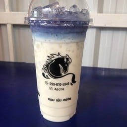 อัญชันนมสดเย็น