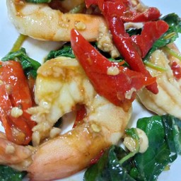 กระเพรากุ้ง