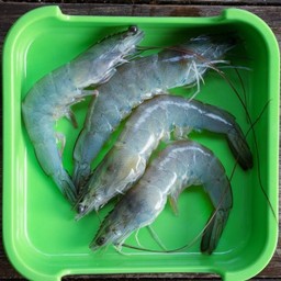 MENU_2565451yP_1700845339