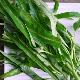 เต่าตั้งเตา -