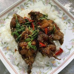 กะเพราปลาดุกทอดกรอบราดข้าว