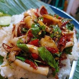 ข้าวกระเพราปลาหมึก