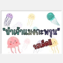 ยำเจ้าแมงกะพรุน วังหิน