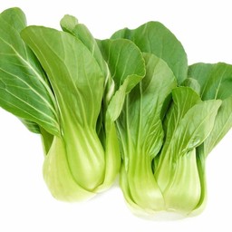 กวางตุ้งฮ่องเต้