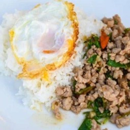 Stir Fried Basil With Minced Pork On Rice With Fried Egg