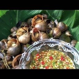 ลวกจิ้มหอยโข่ง