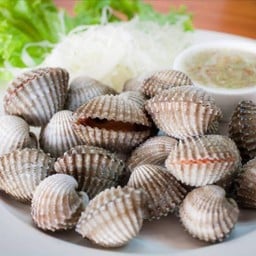 หอยแครงลวก