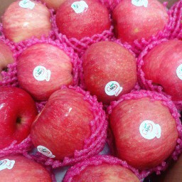 แอปเปิ้ล ฟูจิFuji แท้