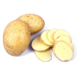 มันฝรั่ง