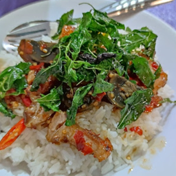 กะเพราหมูกรอบไข่เยี่ยวม้าราดข้าว