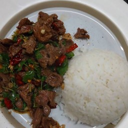 ข้าวราดผัดกะเพรา เนื้อออสฯ