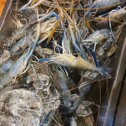 กุ้งแม่น้ำ (3ขีด)