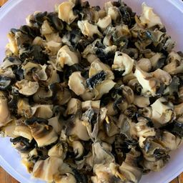 หอยเชอรี้