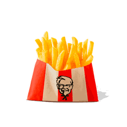 Regular French Fries