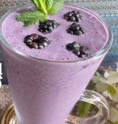 แบล็คเบอร์รี่ สมูทตี้โยเกิร์ต Blackberry Yogurt Smoothie
