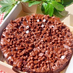 Brownie Chocolate Chip (ช็อกโกแลตชิพ)