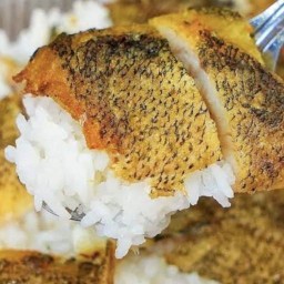 ข้าวกระเพรา ปลาดุกทอด