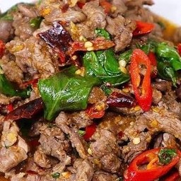 ข้าวราดผัดโหระพา