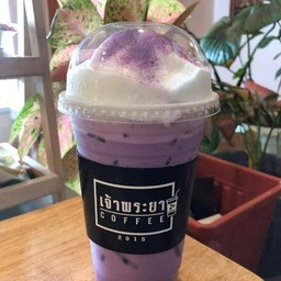 เผือกนมสด