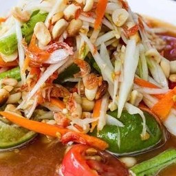 Spicy Green Papaya Salad