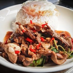 กะเพราเครื่องในไก่ + ไข่ดาว ราดข้าว
