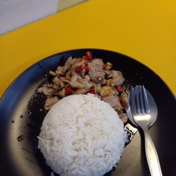 ผัดพริก หมู  ใส่น้ำมันหอย กับข้าวสวย