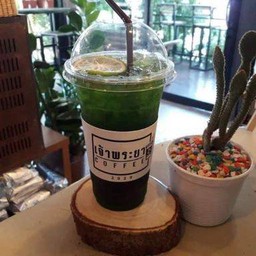 ชาเขียวมะนาวน้ำผึ้ง