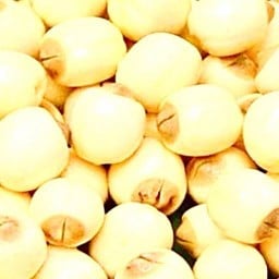 เม็ดบัว
