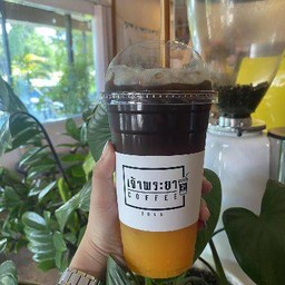 เอสเพรสโซ่ส้ม