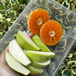 ส้มฝรั่งกิมจู