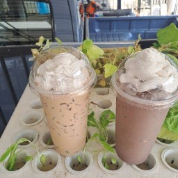 จิบชา  ซ. 9 หมู่บ้านไลโอบลิสซ์