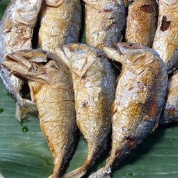 ปลาทูทอด