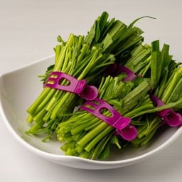 ผักบุ้ง