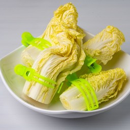 ผักกาดขาว