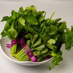 ขึ้นฉ่าย