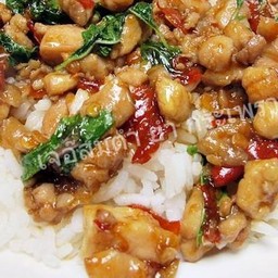 กระเพราไก่ราดข้าว